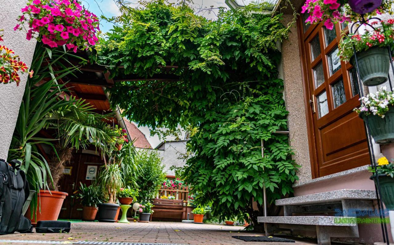 Pension Borna Kültér fotó