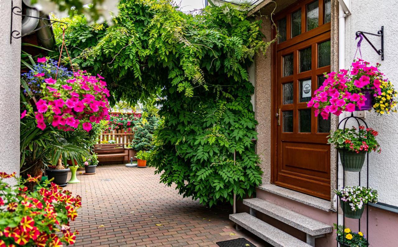 Pension Borna Kültér fotó